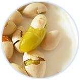 �й�������(bw������ķ��)���޹�˾-Official website